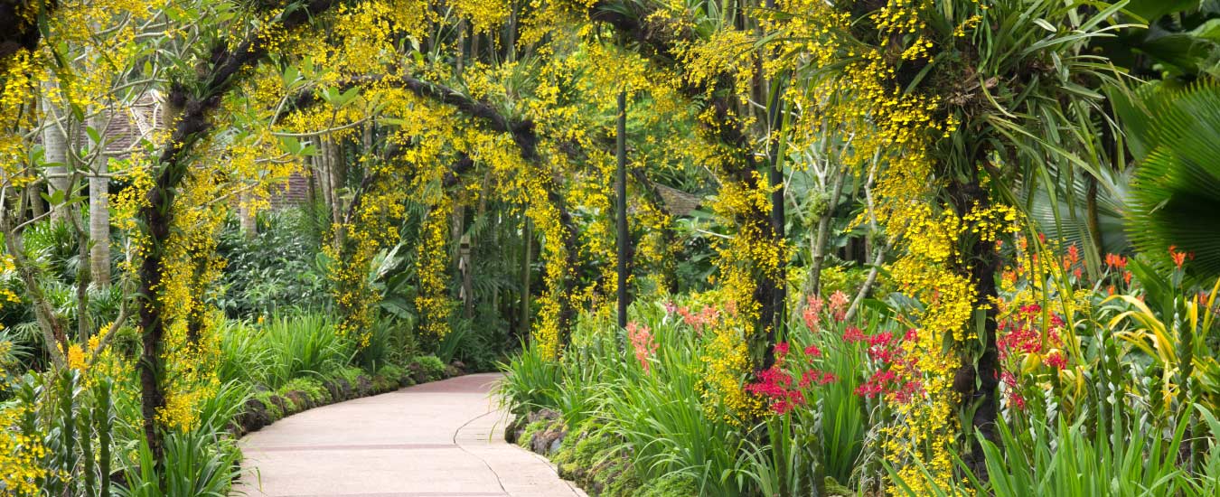 Visit Botanical Garden with Your Family